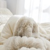 image:imageChunky Bunny Peak of Cozy Twin XL Oversized Comforter Beige  Experience Coma Worthy Sleep with Plush Faux Fur Extra Large BeddingTwin XL