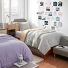 image:imageDorm Haul Cozy Twin XL Bedding College Comforter Set Jet StreamOat Milk  Essential Dorm Supplies for College Freshmen NecessitiesShortbreadAntarctica Gray
