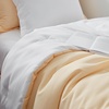 image:imageDorm Haul Cozy Twin XL Bedding College Comforter Set Jet StreamOat Milk  Essential Dorm Supplies for College Freshmen NecessitiesShortbreadWhite