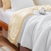 image:imageDorm Haul Cozy Twin XL Bedding College Comforter Set Jet StreamOat Milk  Essential Dorm Supplies for College Freshmen NecessitiesShortbreadWhite