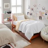 image:imageDorm Haul Cozy Twin XL Bedding College Comforter Set Jet StreamOat Milk  Essential Dorm Supplies for College Freshmen NecessitiesShortbreadWhite