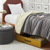 image:imageTexture Brand  Rolling Under Bed Storage Drawer  Driftwood Brown