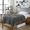 image:imageBlanketry  Coma Inducer Light  Twin XL Blanket  BlackSteel Gray