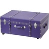 image:imageDormCo The Texture Brand Trunk  Plum  Large