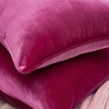 image:imageDormCo Rainha Velvet Dutch Euro amp Bolster Pillow Set  Vibrant Pink  Dorm Supplies for College Freshmen Essentials