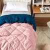 image:imageDormCo Silver PinkNightfall Navy Reversible Twin XL Comforter