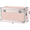 image:imageDormCo VIN Armored Trunks  Rose Quartz