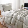 image:imageSnorze Cloud Cozy Coma Inducer Twin Oversized Comforter Set Pumice Stone  Experience Coma Worthy Sleep with Silky Cooling Extra Large BeddingTwin XL