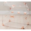 image:imageCIAO BELLA Acrylic Rose Gold Trunk