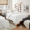 image:imageHGOOSE  Hungarian White Goose Down and Feather Twin Oversized Comforter  Experience Coma Worthy Sleep with High Quality BeddingTwin XL