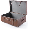 image:imageDormCo Texture Brand Trunk  Coco Tawny Ostrich