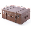 image:imageDormCo Texture Brand Trunk  Coco Tawny Ostrich