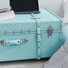 image:imageDormCo Texture Brand Trunk  Vibrant Aqua Ostrich